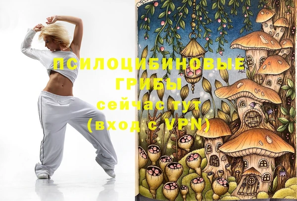 соль ск Арсеньев