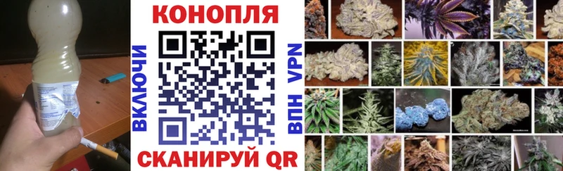 Марихуана OG Kush  МЕГА онион  Онега 
